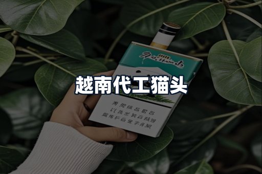 越南代工猫头